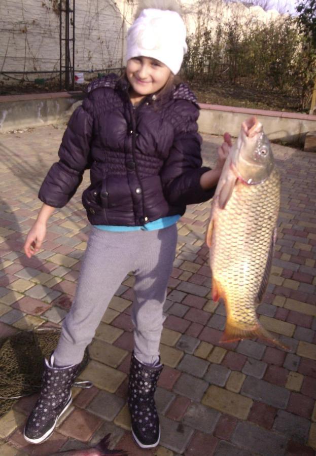 Мечта Рыбака Mayaki ภายนอก รูปภาพ